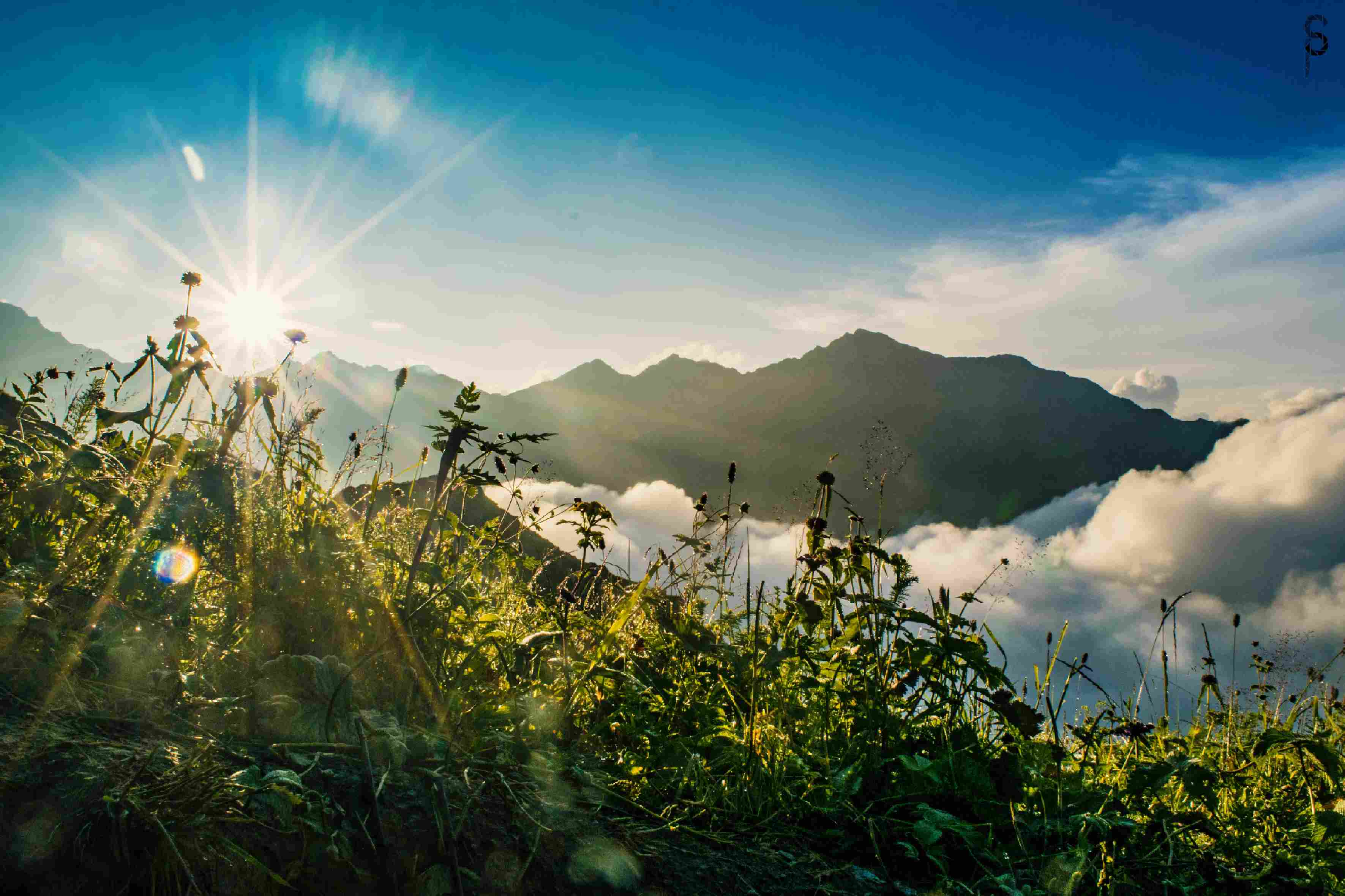 Photography by Surya Teja